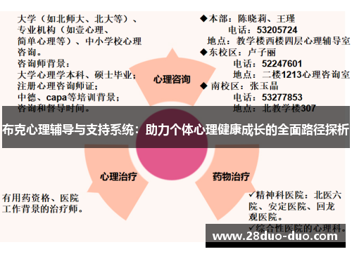 布克心理辅导与支持系统：助力个体心理健康成长的全面路径探析