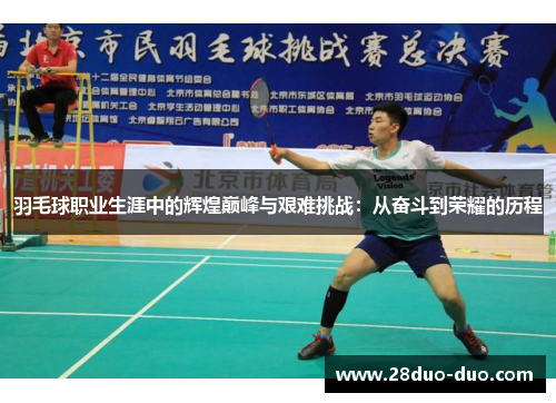 羽毛球职业生涯中的辉煌巅峰与艰难挑战：从奋斗到荣耀的历程