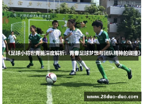 《足球小将世青篇深度解析：青春足球梦想与团队精神的碰撞》